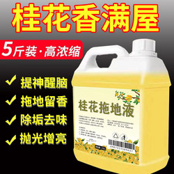 Osmanthus-Scented Floor Tile Cleaner for Home Use, Special Cleaning Liquid for Mopping Floors with a Long-Lasting Fragrance