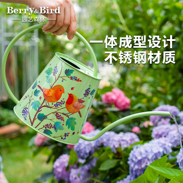 Berry/Bird long mouth flower watering kettle household flower potted succulent watering kettle high-looking gardening ornaments 2L