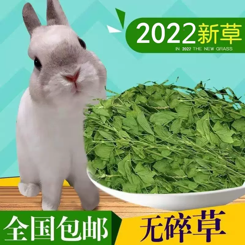 紫花苜蓿草乾草飼料幼兔兔子草龍貓草荷蘭豬草草糧