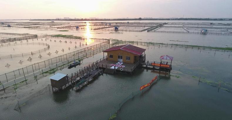 阳澄湖“明星”大闸蟹，秋季吃蟹最佳选(图2)