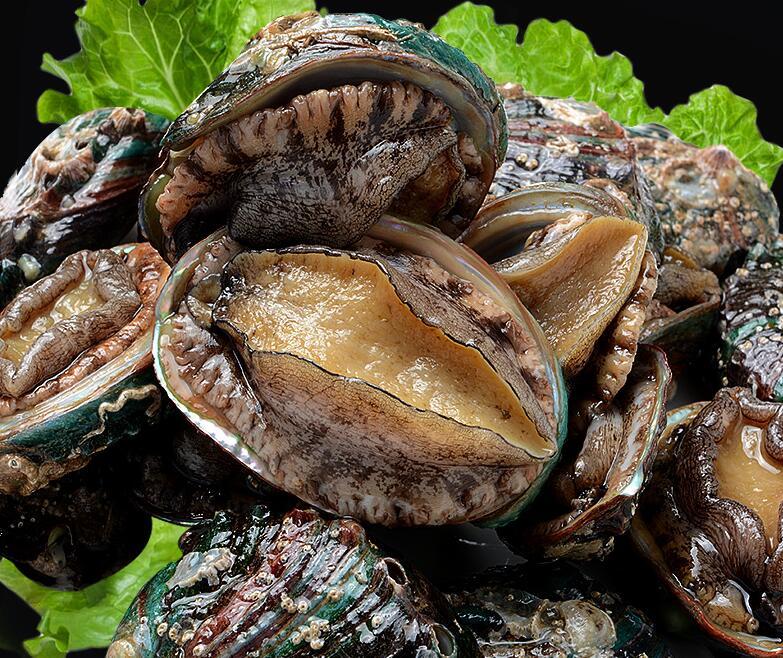 给味蕾来一次惊喜,美味生鲜吃个爽(图3) 给味蕾来一次惊喜,美味生鲜吃个爽(图3)