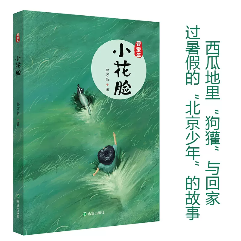 正版包邮 晋童年小花脸儿童文学青少年读物四五六年级课外阅读书现实