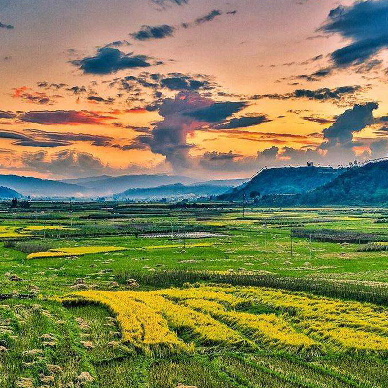 丽江大理香格里拉6天5晚跟团游美食玉龙雪山旅游洱海普达措古城