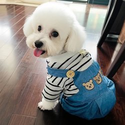 Dog clothing harness four-legged clothing autumn style can be pulled