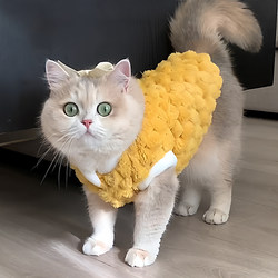 Cat clothes autumn and winter cute vest to keep warm in winter