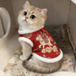 Cat New Year Clothes Autumn and Winter Style Year of the Horse Tang Suit Vest Gold Gradient British Shorthair Ragdoll Small Dog Festive New Year Outfit