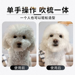 Best-selling pet hair dryer, dog hair blowing artifact, cat bathing, blow drying and hair pulling all-in-one machine, drying and hair drying machine
