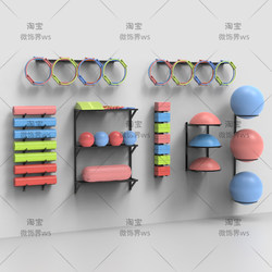 Yoga Studio Pilates Gym Wall-Mounted Storage Display Rack for Yoga Mats, Yoga Balls, Yoga Blocks, and Pillows