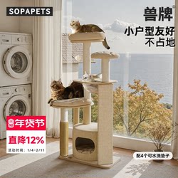 Pet Brand Cheese Cat Climbing Frame, Small-Sized, Space-Saving, Multi-Layered Solid Wood, Home-Specific Cat Shelf, Cat Bed, Cat Tree All-In-One