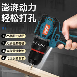 Brushless Lithium Battery Handheld Two-Speed Electric Drill for Drilling, Rechargeable Household Multi-Function Impact Electric Screwdriver Hand Drill