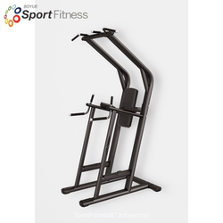 Lifefitness Single and Parallel Bars and Leg Lift Abdominal Muscle Combination Exercise Machine, Lifefitness Excellence Series Commercial Equipment