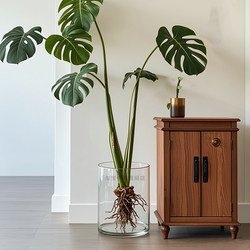 Large-Diameter Vase, Special Hydroponic Container for Monstera, Wide-Mouth, Open-Mouth, Green Plant Awakening Bucket, Glass Transparent Pot