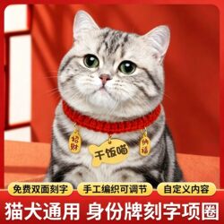 Specialized Cat Collar for American Shorthair Tabby Cats, Anti-Lost Tag Collar for Kittens, Pet Cat Anti-Lost Tag Necklace
