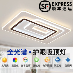 Living Room Lamp, Modern, Simple and Elegant, 2025 New Model, Full Spectrum Eye Protection Main Light, Large Light, Guangdong Official Zhongshan Lighting Fixtures