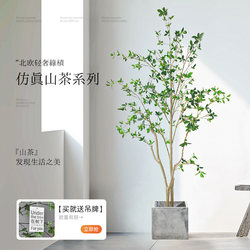 Artificial Green Plants, Fake Potted Plants, Bionic Green Plants, Clothing Store Decoration Trees, Window Display Pieces, Floor-Standing Hanging Clock Trees, Artificial Plants