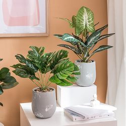 Nordic Artificial Plant Potted Greenery Living Room Decoration ins Feng Indoor Bedroom Decoration Turtle Leaf Fake Grass Bonsai