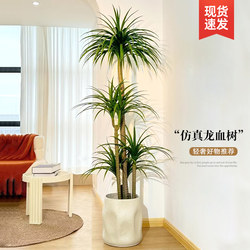 Artificial Green Plant Dracaena for Living Room, Large Potted Indoor Luxury Decorative Flower, Simulated Plant Floor-Standing Ornament, Fake Tree