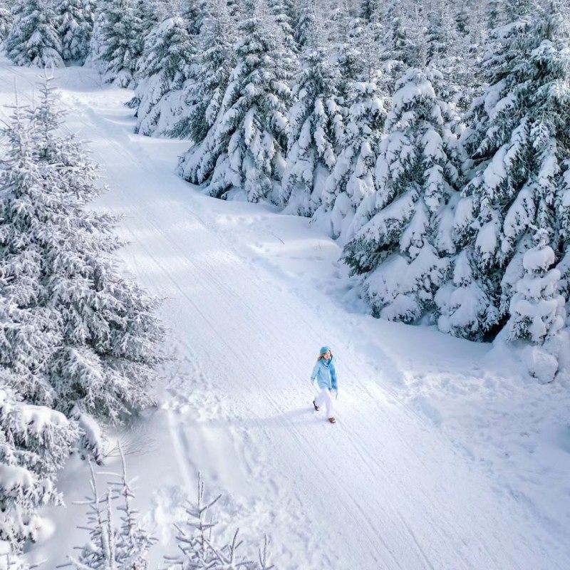 长白山北景区天池魔界漂流温泉雪岭延吉美食私家团包车2日游