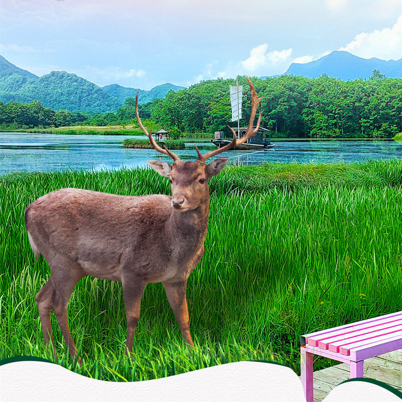 湖北旅游纯玩6天5晚跟团神农架神农顶屏山峡谷恩施大峡谷