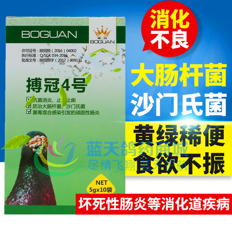 搏冠鸽用4号 沙门氏菌大肠杆菌肠炎下痢水绿黄便赛信鸽用品鸽药