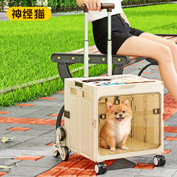 Cat Bag, Foldable, Portable, Cat and Dog Pet Trolley Box, Large Capacity Suitcase, Flight Box, Cat Cage, Cat Box