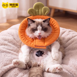 宠物用品猫用伊丽莎白圈可爱蜜蜂款猫狗防舔脖圈两种戴法舒适透气