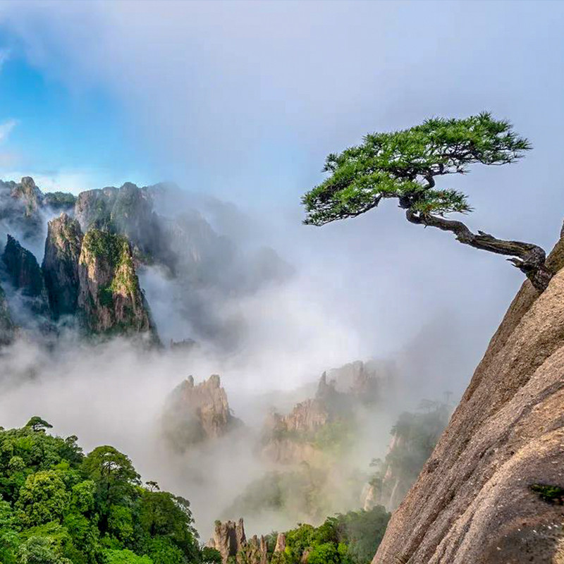 宏村黄山新安江山水画廊徽州古城3日游(纯玩·黄山北站接送)