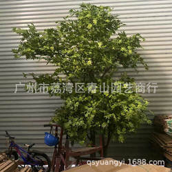 Simulated green ginkgo tree manufacturers supply simulated plants, green maple trees, wishing trees, artificial plants, small mystery your beauty maples