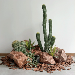 Artificial Huangshan Stone Green Plants for Guesthouses, Hotels, Villas, Window Displays, Cactus, Desert Plants, Landscaping, Potted Plants, Entrance Hall Combinations