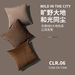 Dream Weaver Clouds Earth Brown Velvet ins Throw Pillow Sofa Living Room Cushion Bed Backrest Warm Color Pillow