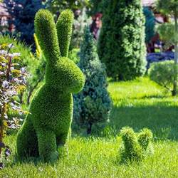Large animal and plant craft sculptures artificial outdoor park square grass sculpture landscape simulation green sculpture shape combination