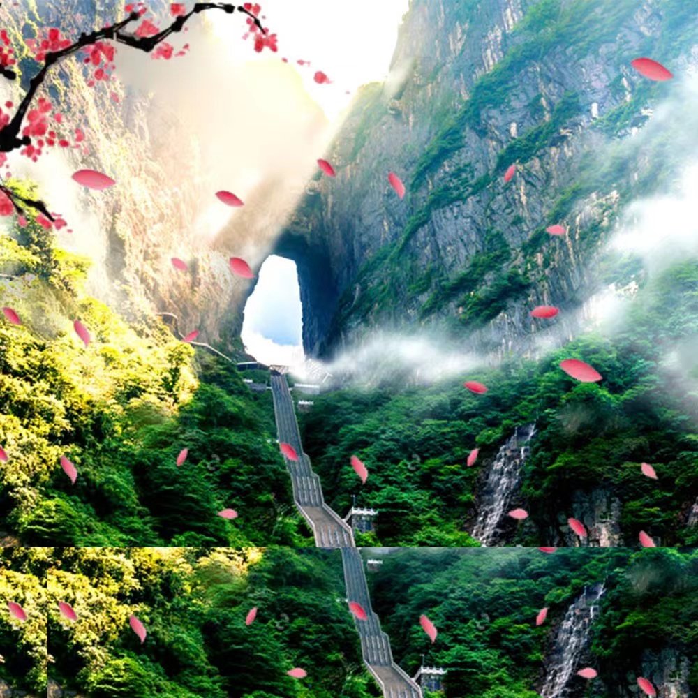 长沙到张家界旅游长沙3天2晚天门山大峡谷玻璃桥纯玩亲子三日跟团