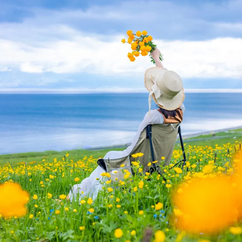 新疆旅游北疆伊犁7天6晚赛里木湖那拉提恰西独库公路夏塔跟团游