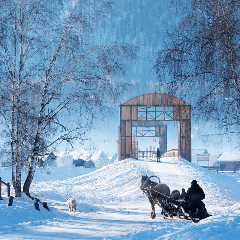 【雪国列车/雪遇阿勒泰】新疆旅游5天4晚北疆喀纳斯禾木纯玩五日