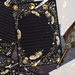 Aili Feather Instrument Letter Paper Set, High-End Gold and Silver Stamping, Valentine's Day Love Letter, Confession Gift for Boyfriend/Girlfriend