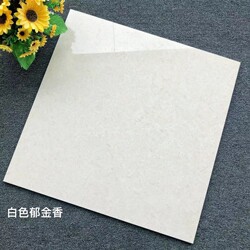 Tulip Vitrified Tiles for Living Room Floor 800X800, Non-Slip and Wear-Resistant Floor Tiles for Bedroom 600X600, Polished Tiles