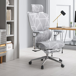 Feiwan Ergonomic Chair Can Recline, Suitable for Women, Comfortable for Home Use, Office, Gaming, Leisure Chair for Men, Waist-Protecting Computer Chair