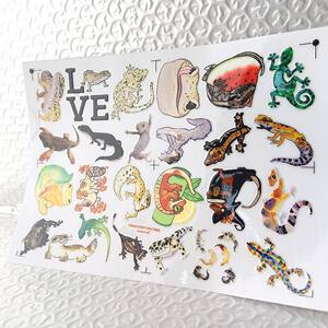 
Reptile Gecko Hollow Three-dimensional Waterproof Pen Toothbrush Water Cup Decorative Sticker UV Transfer Sticker Crystal Label Customized