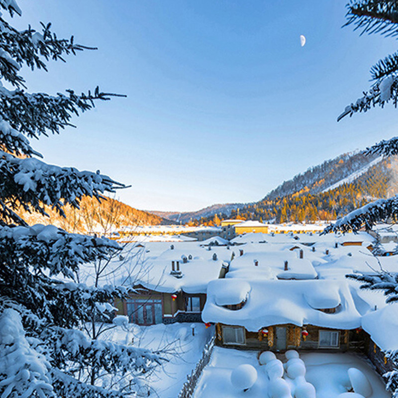 亚布力起止中国雪乡一日游 雪乡国家森林公园跟团游0购物无套路