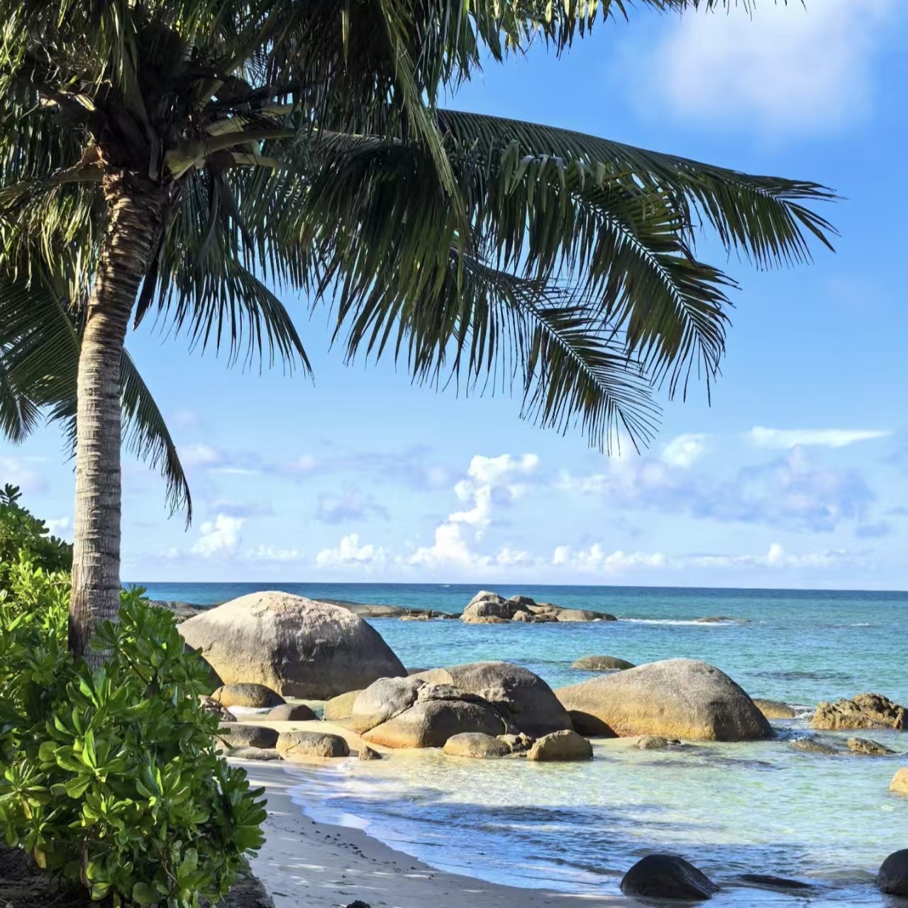 【一价全含】 三亚旅游5天4晚跟团游海南五星海景酒店直升机旅行