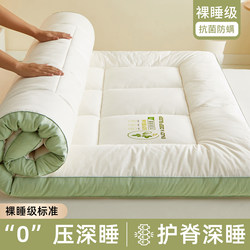 Thickened Soy Fiber Mattress Pad for Home Bedroom, Special for Rental Housing, Student Dormitory Bed Mattress, Tatami Mat