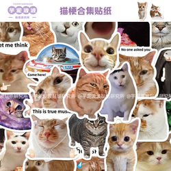 50 Cat-Themed Stickers, Cute Emoticons, DIY Phone Case, Luggage, Laptop Decoration Stickers