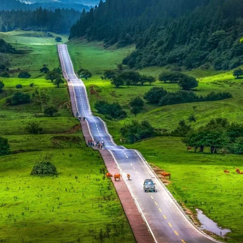 九点出发|重庆武隆一日游纯玩小团跟团游包车旅游天坑地缝仙女山
