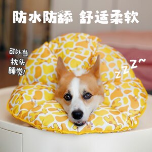 Pet Dog Elizabeth Cat Cat Facts and Licking Bite Stepping Supplies Corki Sunflower Neck Circle Soft Hand
