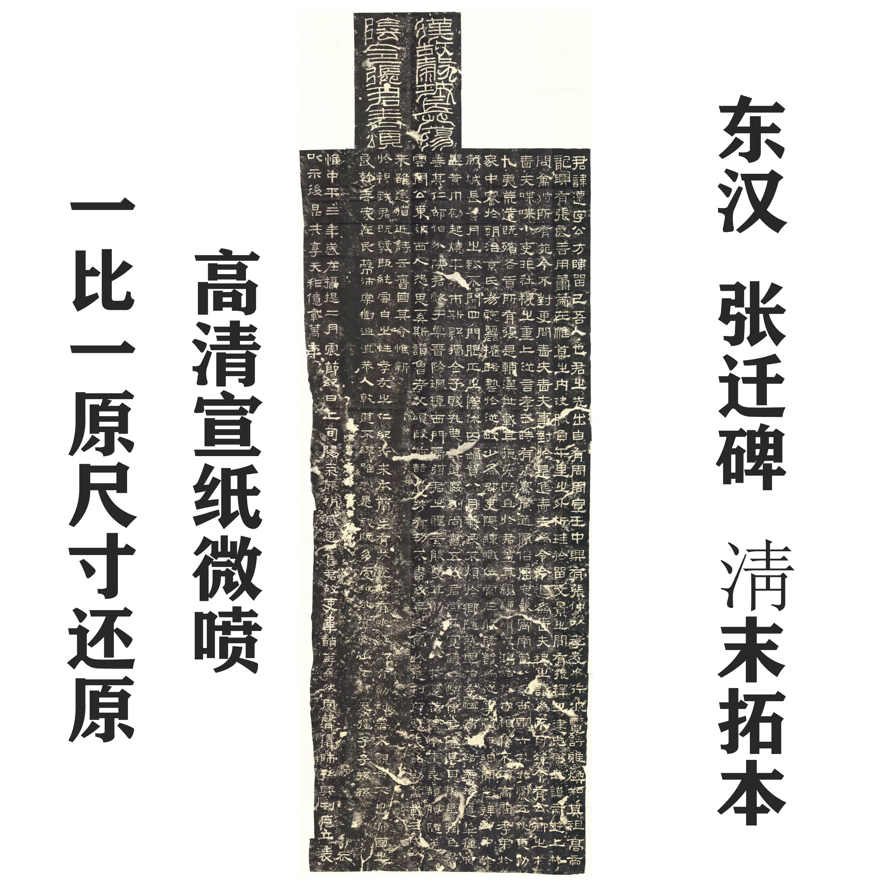 現在、当館1F階段下では、ご寄贈頂いた2人の碑の拓本や関連書籍