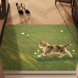 2026 New Model Floor Mat, Entrance Door Mat, Indoor Dust-Removing and Dirt-Resistant Household Mat, Green Carpet for the Doorway