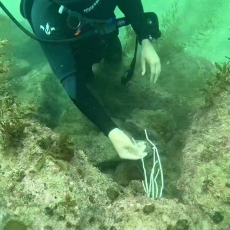 福州平潭岛亲子赶海一日游可选快艇出海海钓/夜钓鱿鱼/海上玩水游