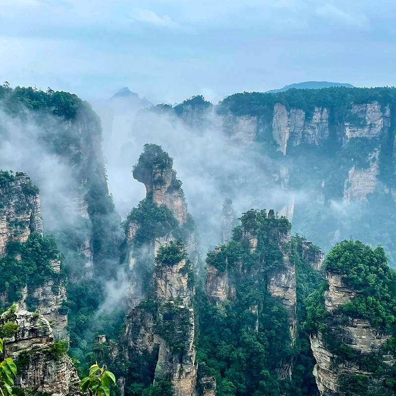 【16人纯玩小团】张家界国家森林公园一日游金鞭溪十里画廊品质团