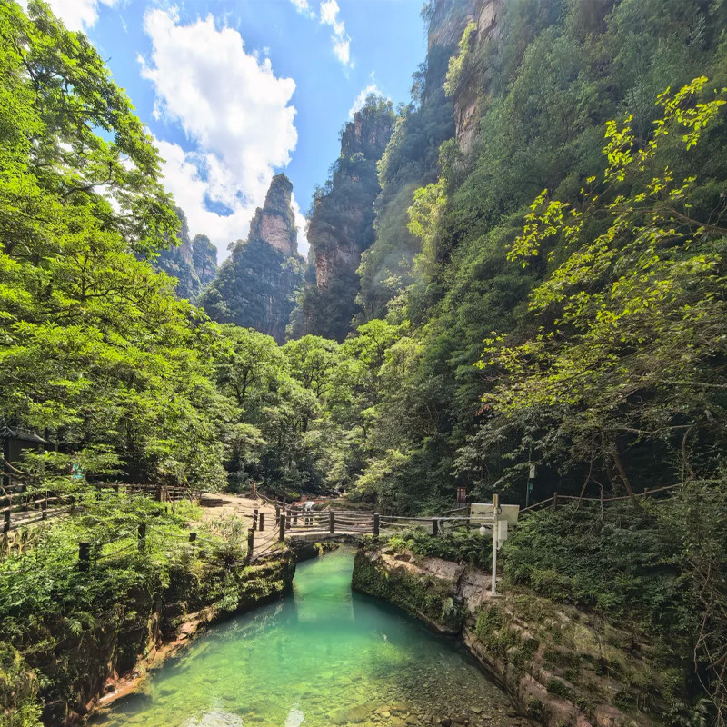 观日出一价全含湖南张家界旅游3天2晚天门山国家森林公园玻璃栈道