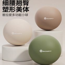 Pilates Small Ball, Yoga Ball, Pelvic Floor Muscle Training, Adult Postpartum Special Shaping 25cm Fitness Ball, Core Repair